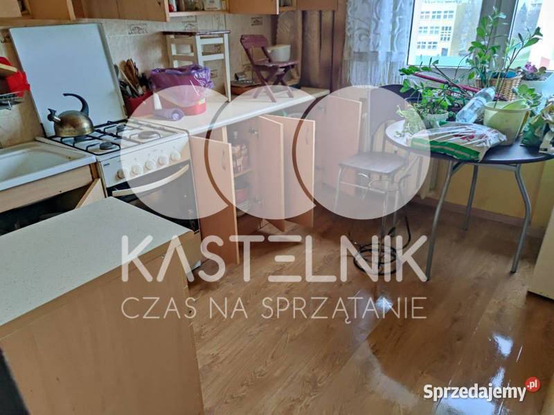 Utylizacja mebli pluskwach Sulejówek Kastelnik