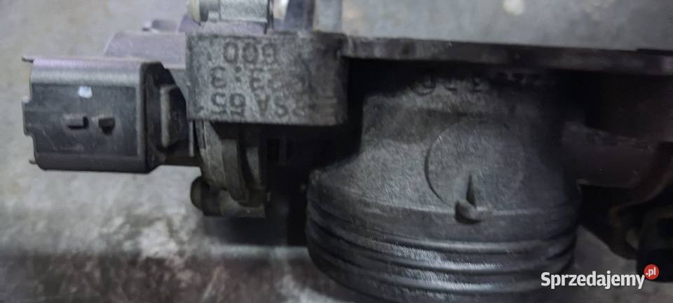 Przepustnica citroen peugeot 11 14 osobowe wielkopolskie Gniezno