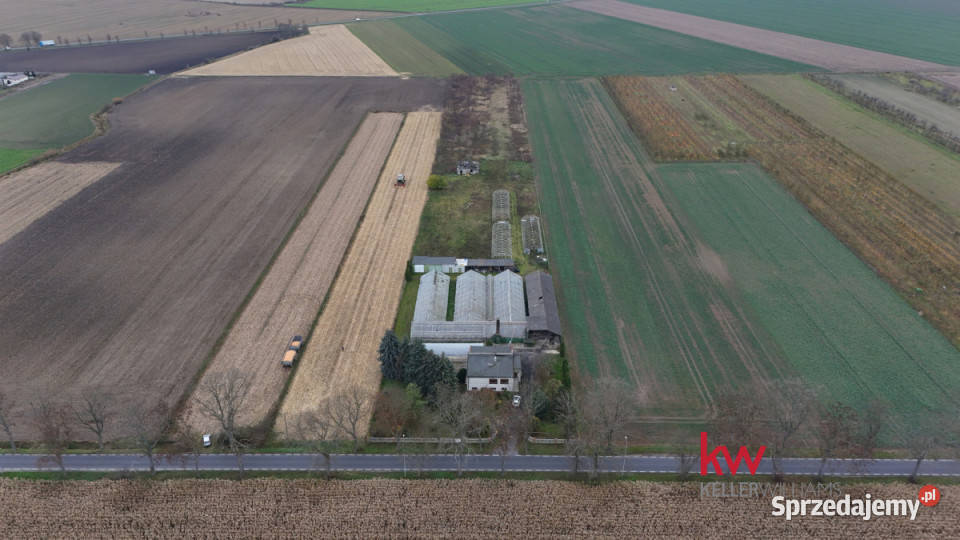 Dom wolnostojący 144m2 Wielka Wieś Szamotulska wielkopolskie sprzedam