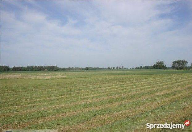 ziemia rolna 17 hektarów grunt gospodarstwo 2zł/m2 Nieruchomości warmińsko-mazurskie Barciany