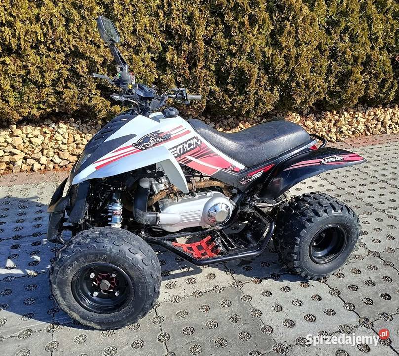 Quad dinli 300 ( Raptor )