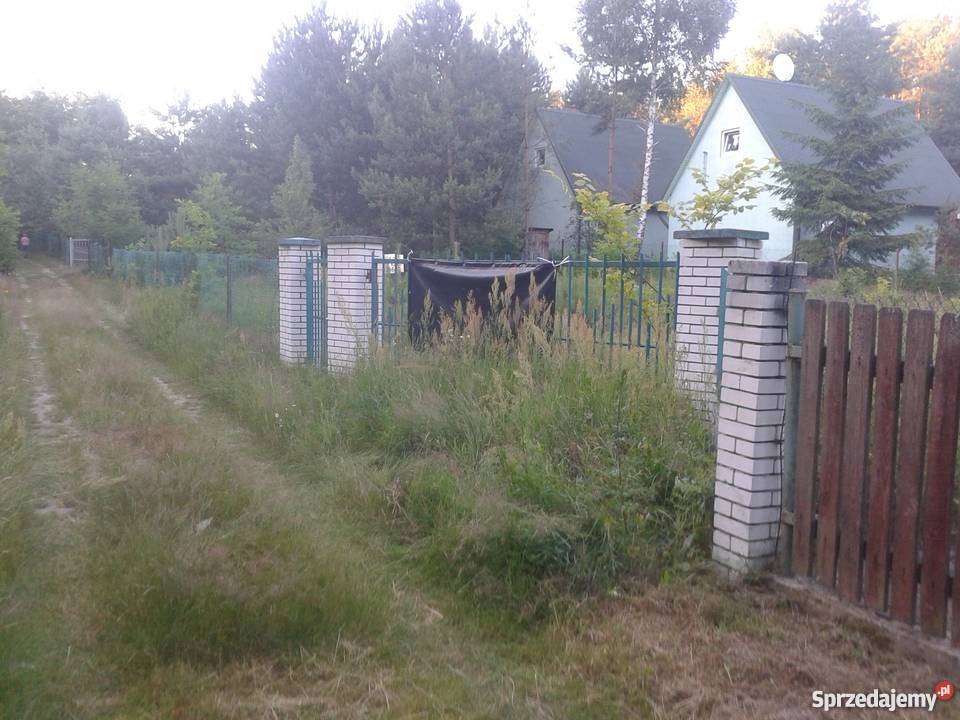 Sprzedam działkę we wsi Chańcza Okazja Bez Chańcza