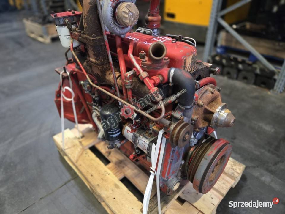 Silnik Case Internacional 1255XL DT358 Byków sprzedam
