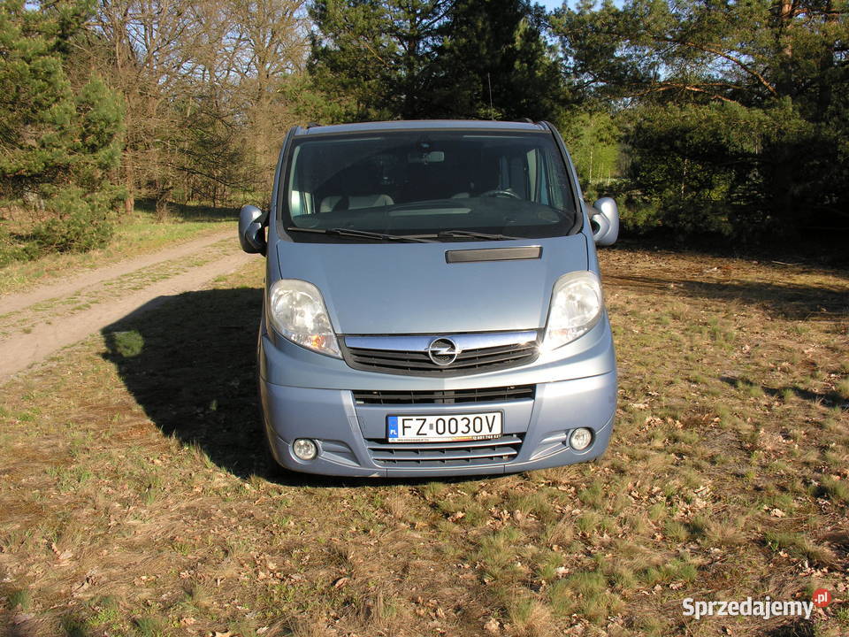 Vivaro Westfalia Zielona Góra sprzedam