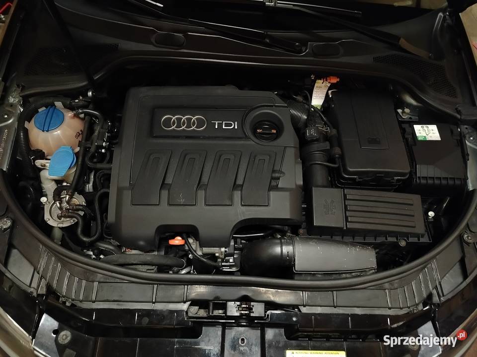 Audi A3 8P sportback lift 16tdi Ptaszkowa