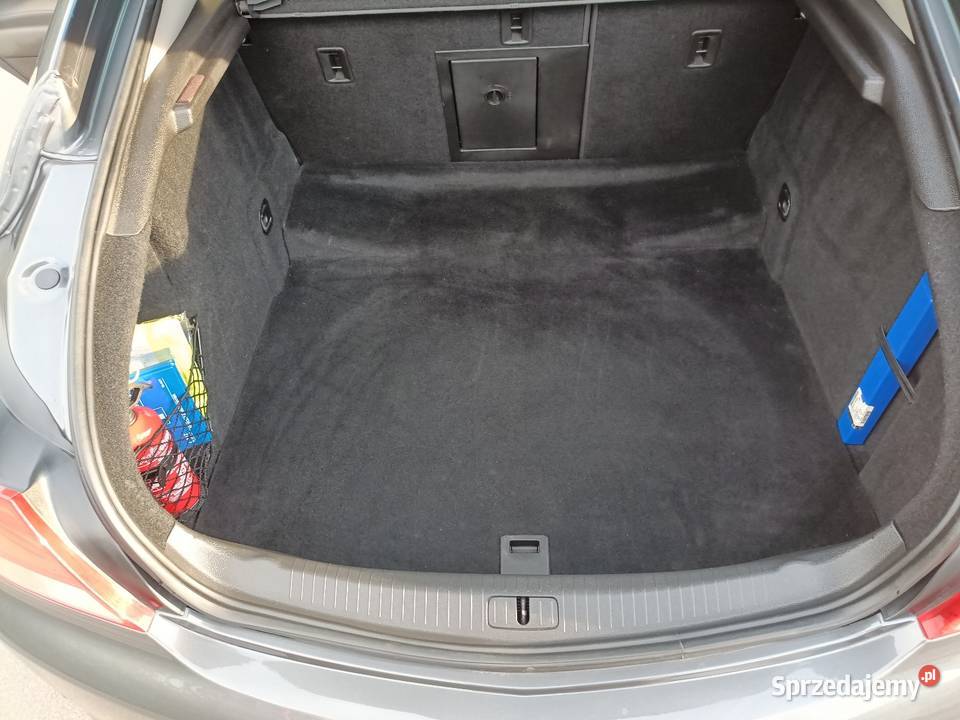 Opel Insignia A 20 Turbo 220 Automat Serwisowany Pilawa