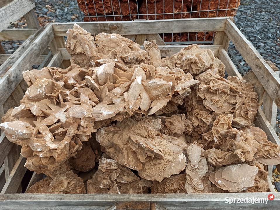 Róża Pustyni Kamień do akwarium bryła do ogrodu Oświęcim