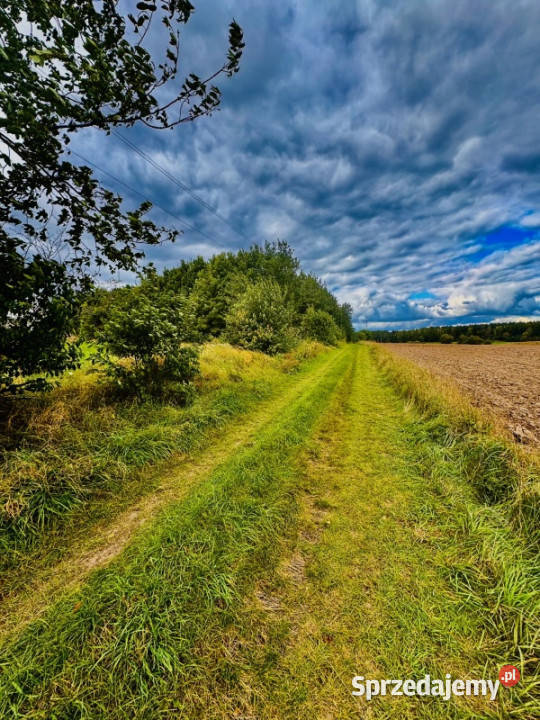 Drygały piękna działka 14 ha w otoczeniu lasów i inwestycyjna