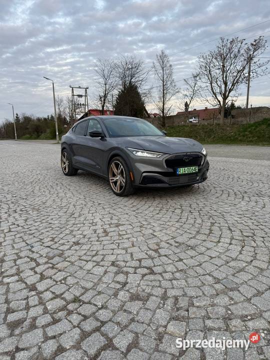 Mustang mache Mustang Jarosław