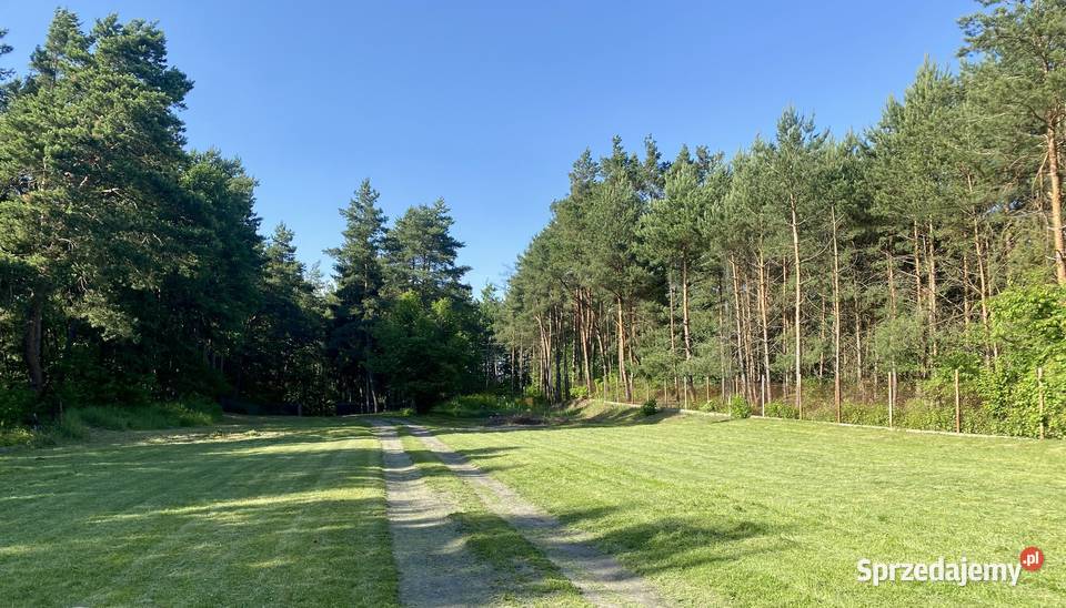 Działka 2100 m2 Skrzeszew Wieliszew Budowlana