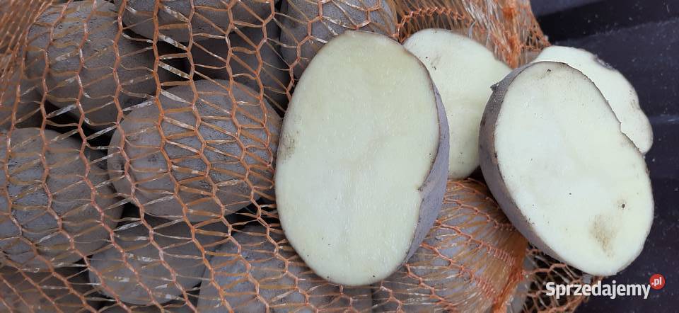 sprzedam ziemniaki Łomża sprzedam