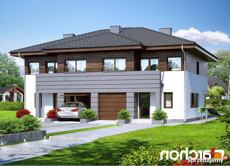 Bliźniak Banino Banino sprzedam