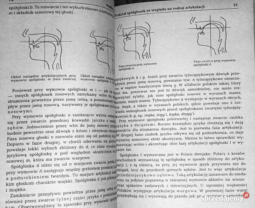 Gramatyka języka polskiego Zarys popularny Piotr Rok wydania 1984 Chełm
