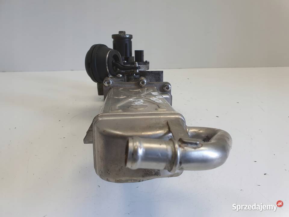Audi A3 II 8P 16 TDI CHŁODNICA SPALIN egr Chełm