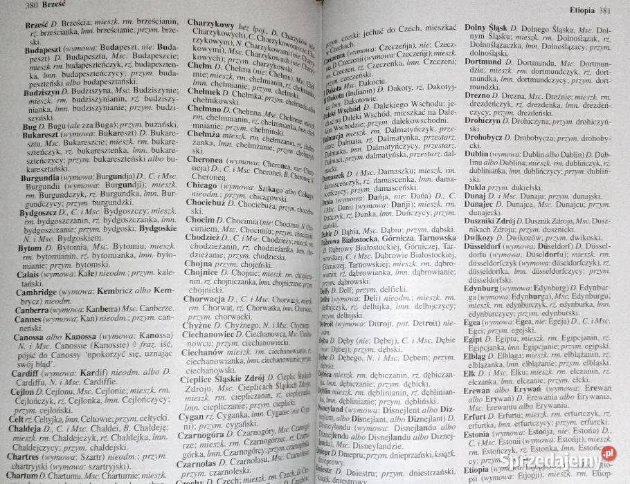 Praktyczny słownik poprawnej polszczyzny A sprzedam