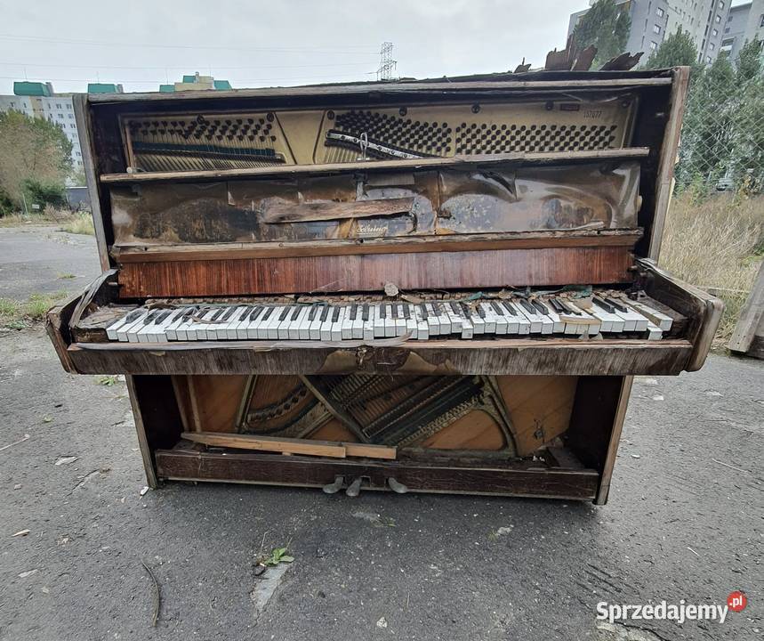 Opróżnienie mieszkania Gdańsk wynoszenie mebli pomorskie