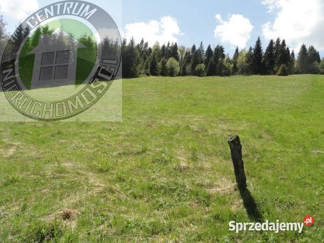 Działka 8400m2 Ochotnica Dolna
