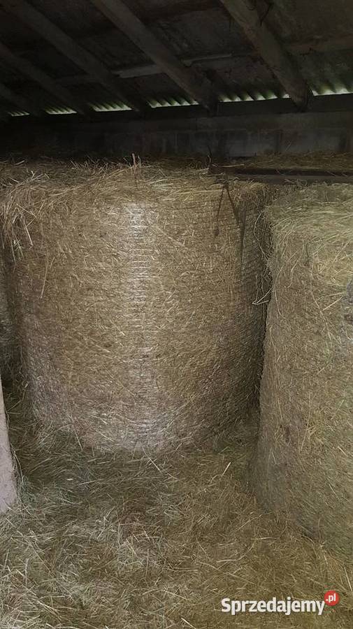 Siano w balotach 120 2025 wiązane siatką