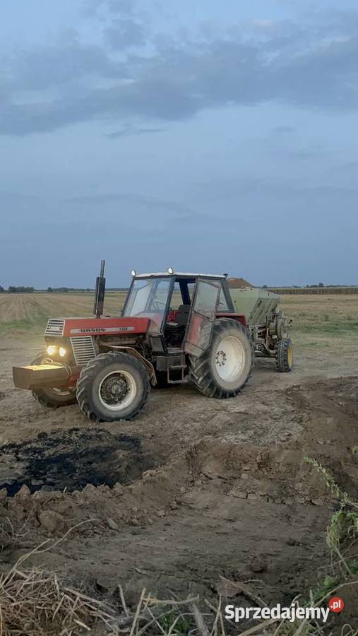 Ursus 1204 rolnika Dziewiętlice