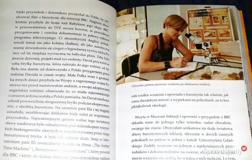 Polki na Bursztynowym Szlaku Lidia Popiel Monika