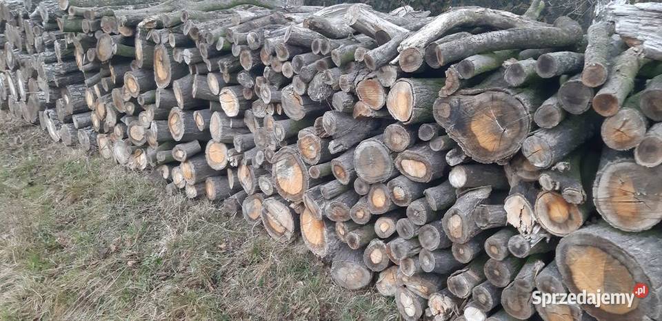 Drewno Radgoszcz sprzedam