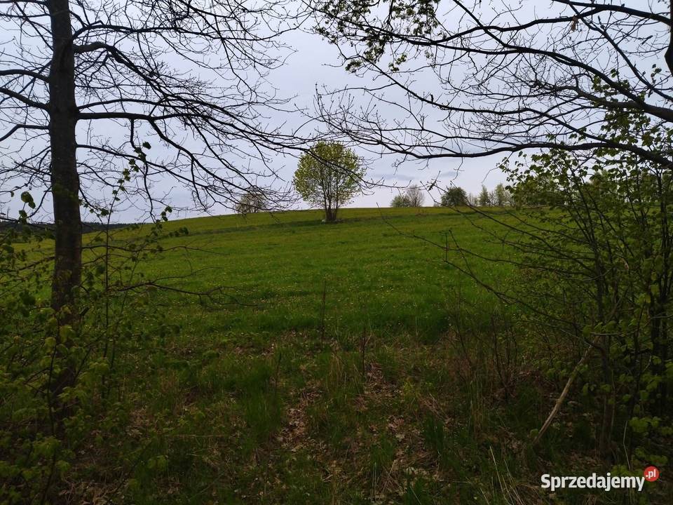 Działka budowlana drodze asfaltowej Rumy