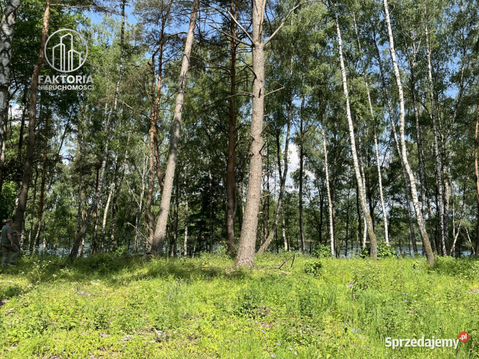 Działka 2805m2 Dąbrówno budowlana