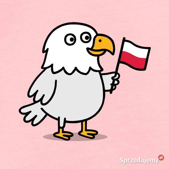 Body niemowlaka Polska patriotyczne flaga Rozmiar 10 Kraków