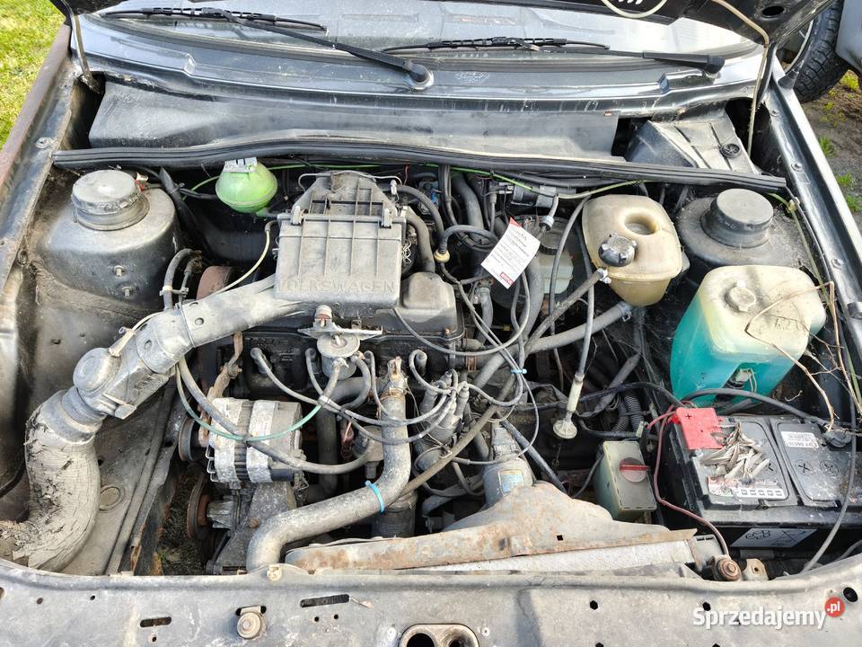 Golf 4x4 Syncro 69 Buczek