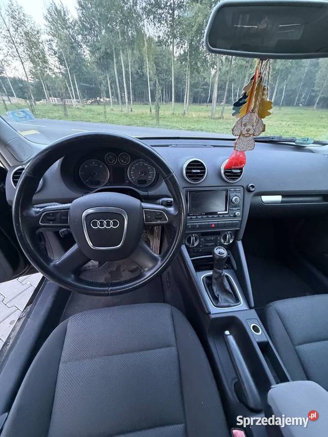 Audi a3 8p 16 TDI COMMON RAIL LIFT 1598cm3 śląskie Orzesze
