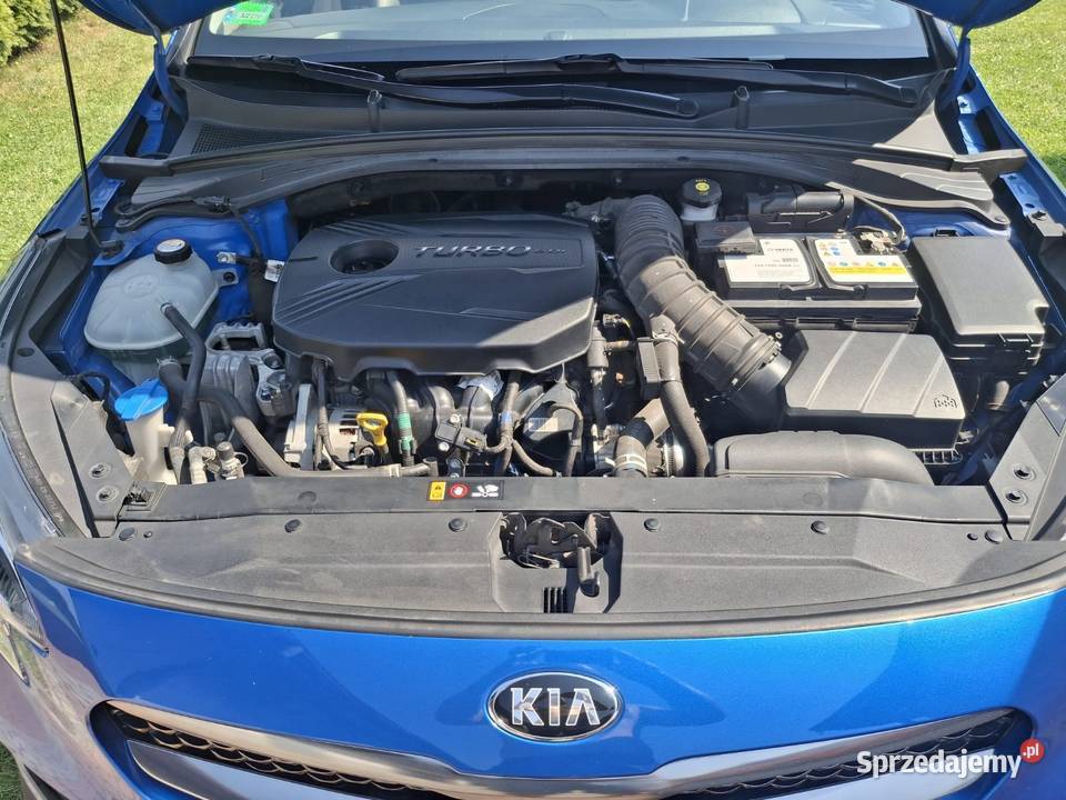 Kia XCeed 16 TGDi 204 7DCT Smart XL Premium PNS światła do jazdy dziennej Motoryzacja sprzedam