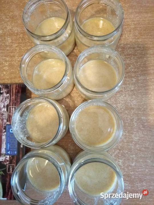 Mleczko pszczele trutowe Gomogenat Trutowy Warszawa