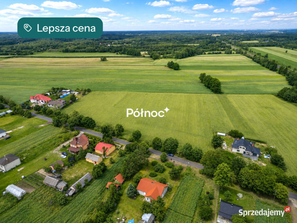 256 ha pod osiedle domów jednorodzinnych asfalt Sprzedaż lubelskie Ortel Książęcy Drugi