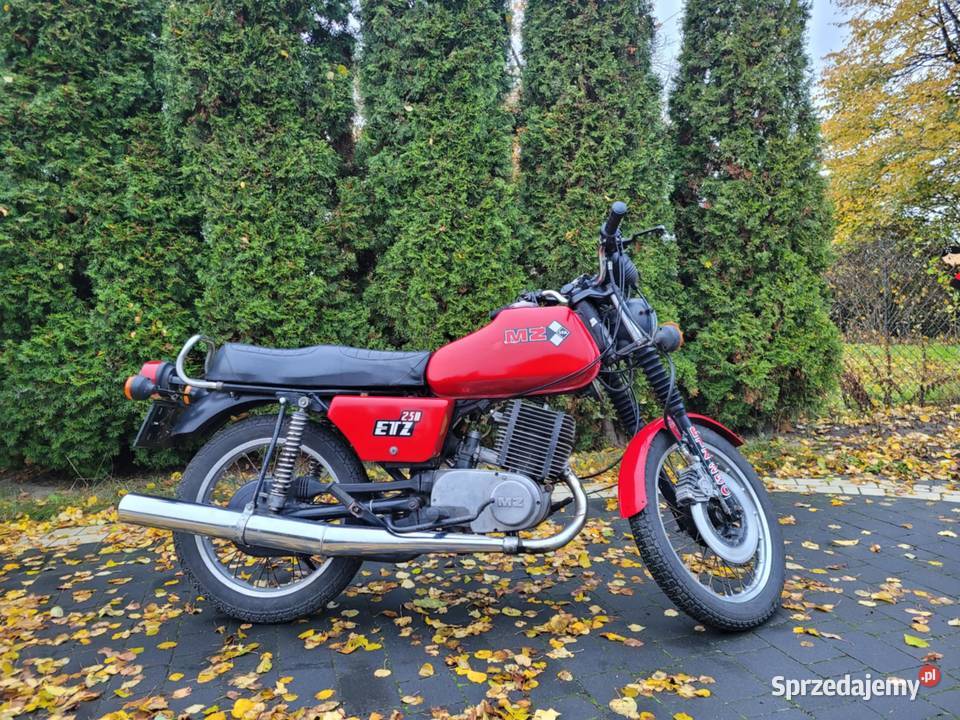 Mz Etz 250 z dokumentami Parczew