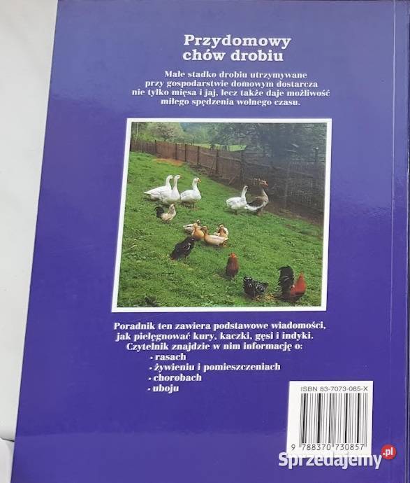 Alice Stern Przydomowy chów drobiu Zielona Góra