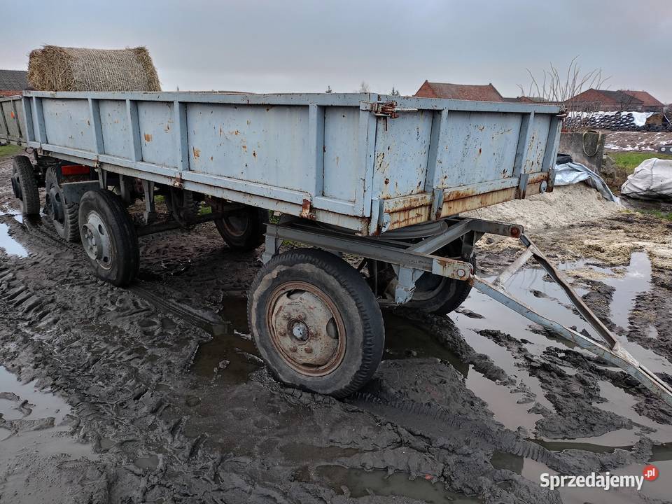 Przyczepa wywrotka D35D44 Gostyń