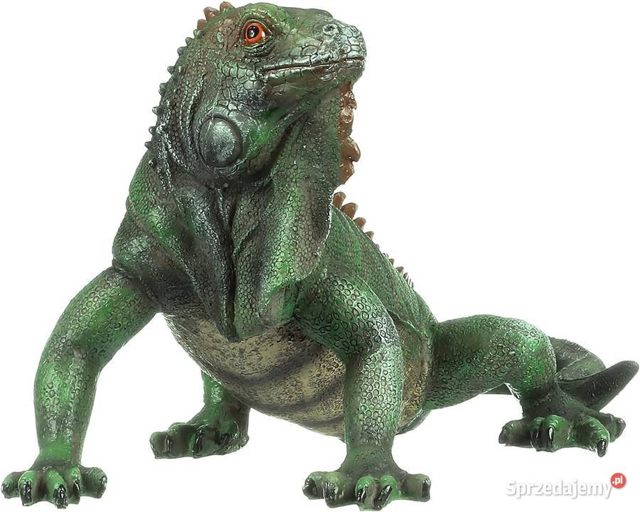 Iguana figura ogrodowa 5624 realistyczny żywica Kraków