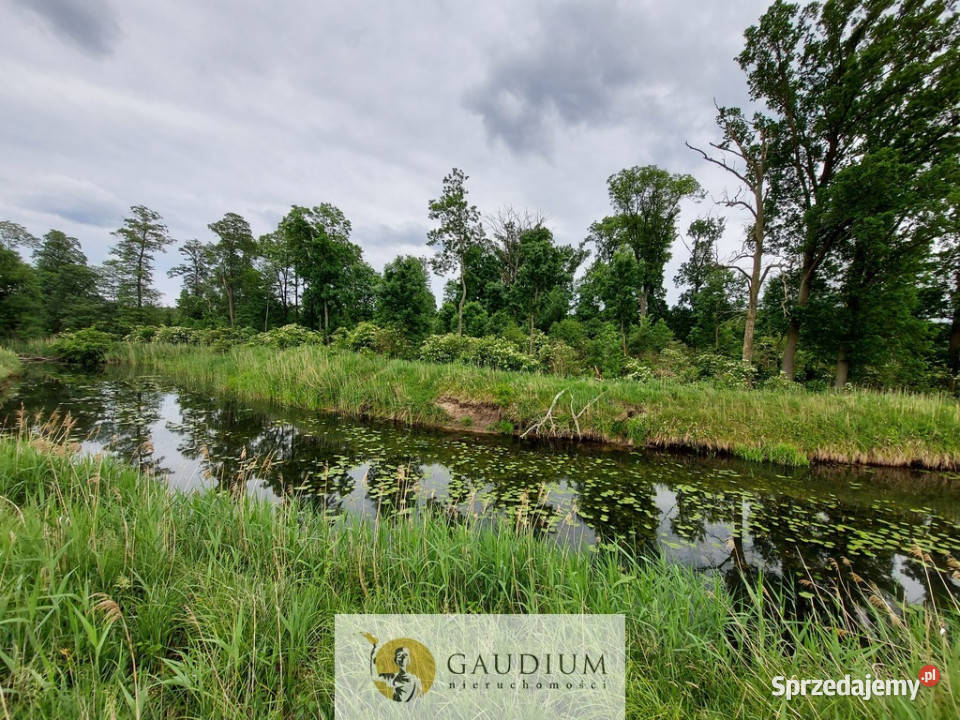 Malownicze działki brzegiem rzekiZielona Góra Karszyn sprzedam