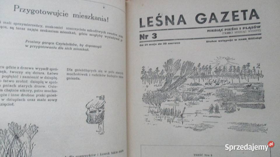 Leśna Gazeta WBianki 1953 las przyroda edukacja Łódź