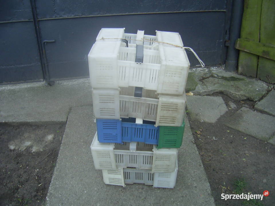 koszyki plastikowe na truskawki