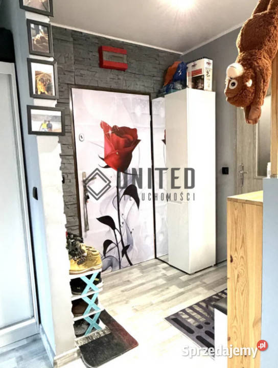 Zagony Muchobór Wielki Wrocław sprzedam