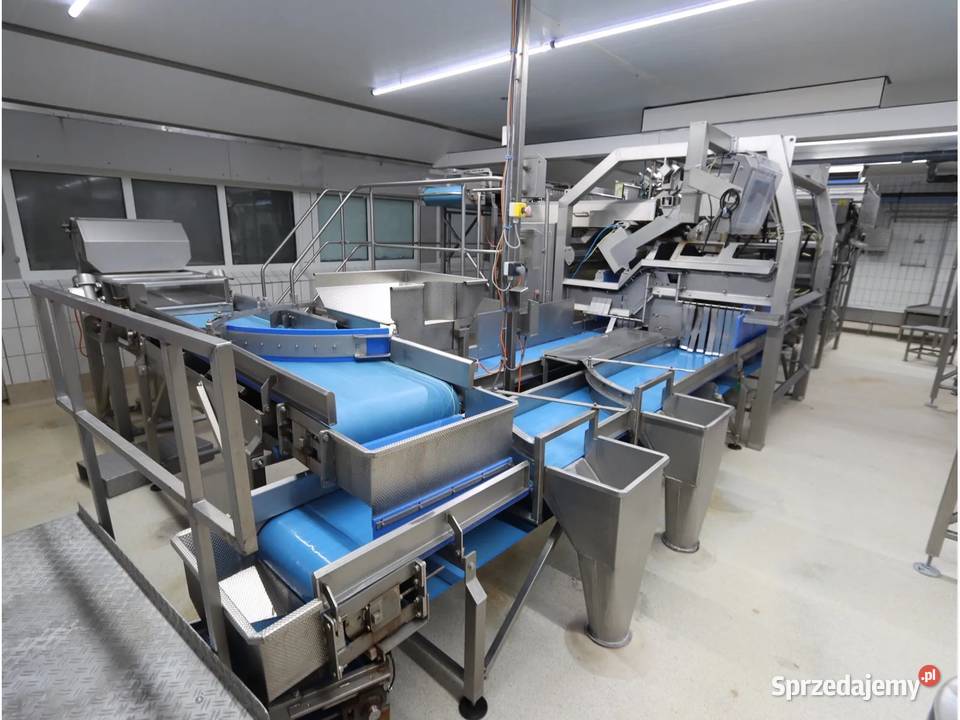 Odenberg Tomra Linia sortowania ziemniaków Krotoszyn