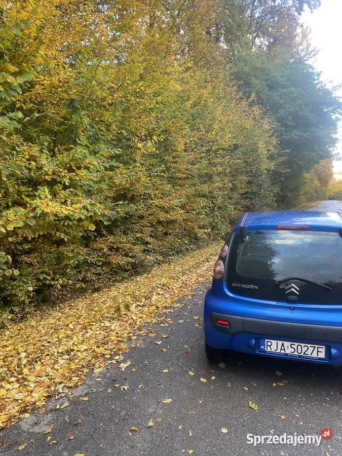 Citroen c1 ESP Pruchnik