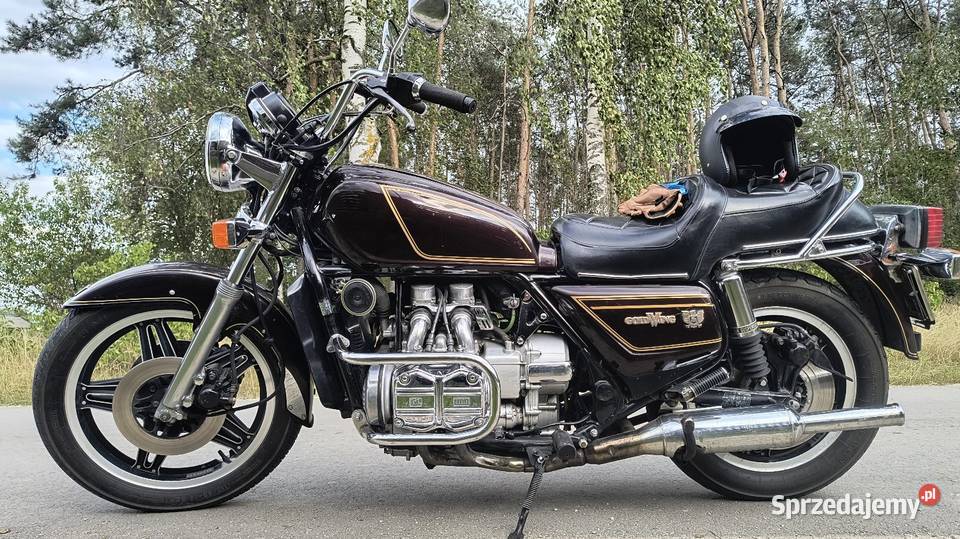 Honda GL 1100 81 Honda Czerniewice