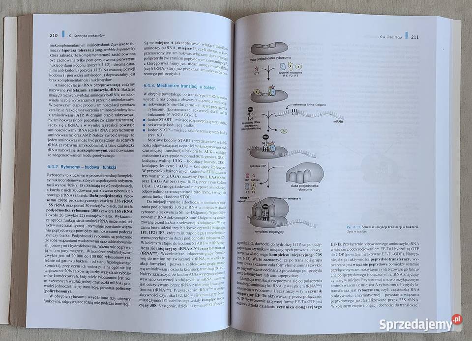 Mikrobiologia PWN Jadwiga Baj