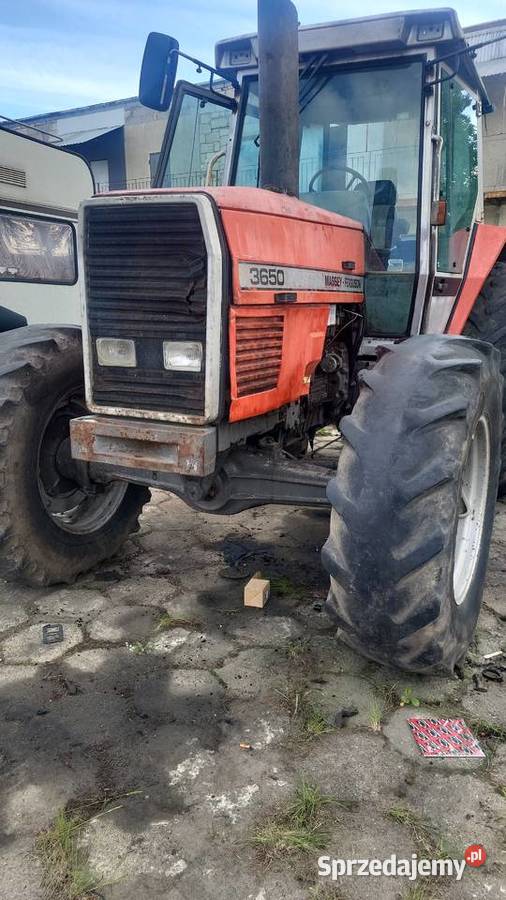 Massey Ferguson 3650 Radzyń Podlaski