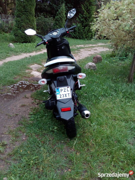 Zumico Avatar Okonek