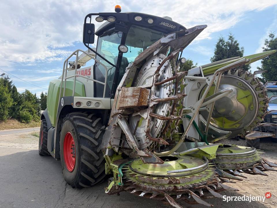 Sieczkarnia do kukurydzy Claas Jaguar 950 w Nowa Ruda