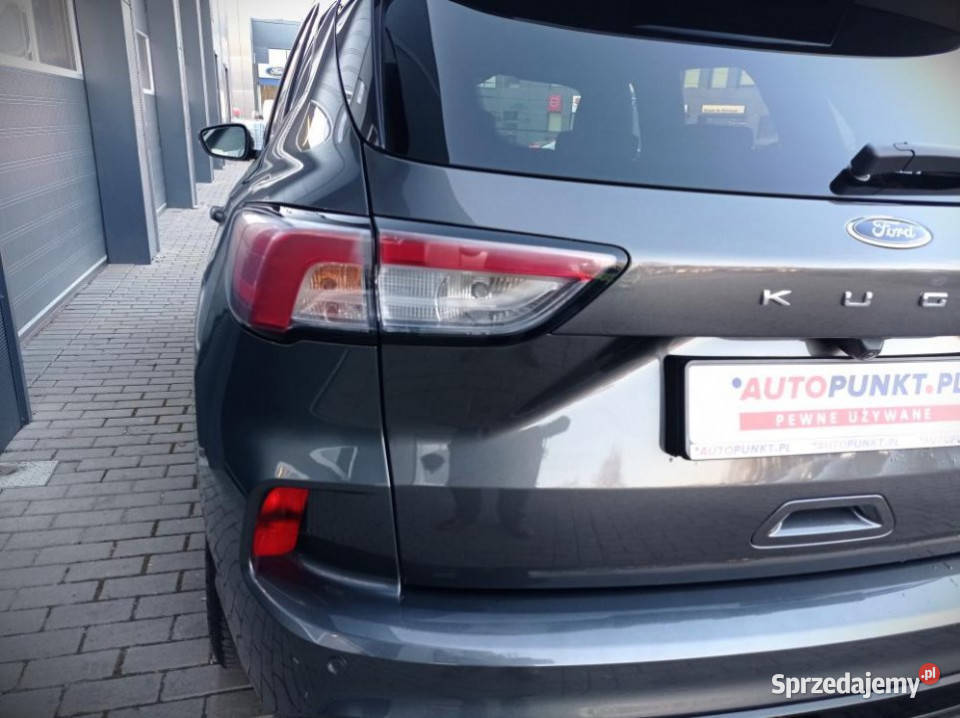 FORD Kuga 2021r FV23 Alcantara BO HAK BLIS El Rok produkcji 2021 Ford Kraków sprzedam