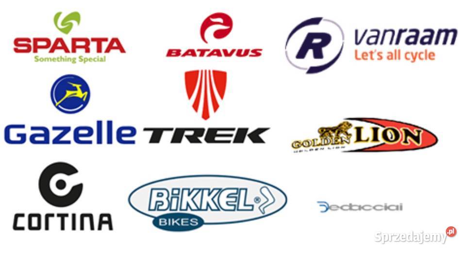 Gazelle C330 Comfort Bosch NuVinci lubuskie Wschowa sprzedam